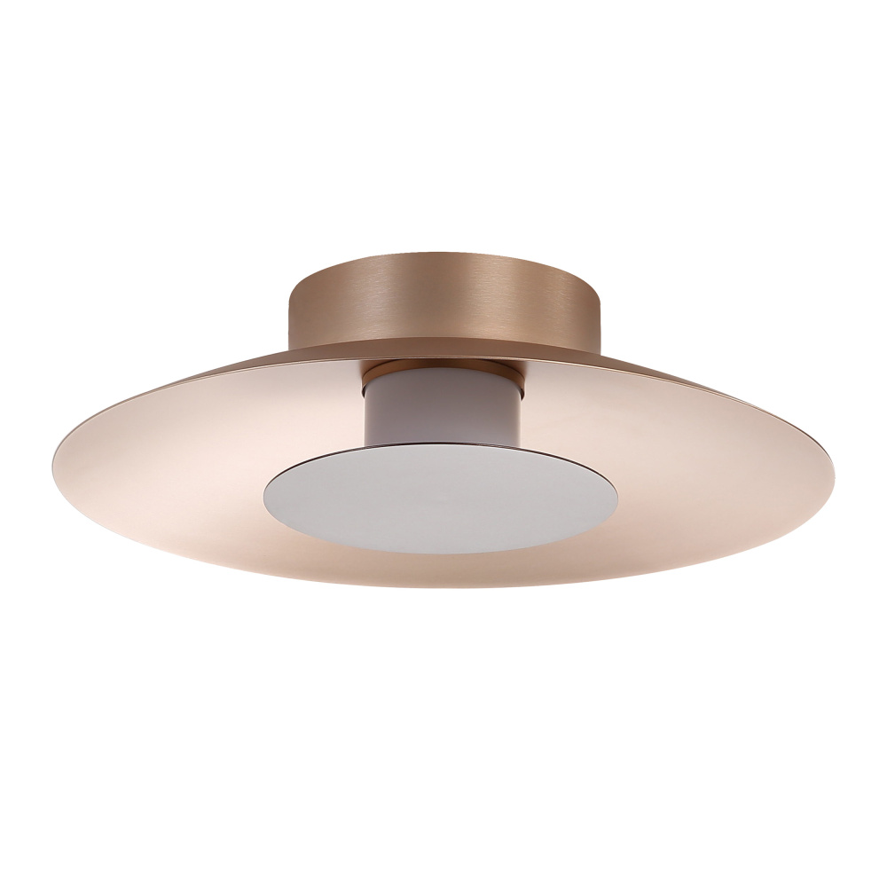 Yep by Golden Lighting Luma Integrated LED Flush Mount in French Gold and Coffee Silver accent